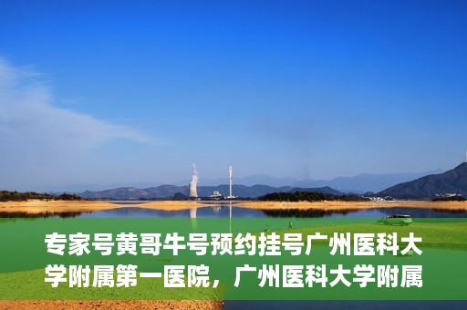 专家号黄哥牛号预约挂号广州医科大学附属第一医院，广州医科大学附属第一医院专家号黄哥牛号预约挂号攻略