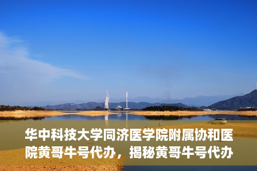 华中科技大学同济医学院附属协和医院黄哥牛号代办，揭秘黄哥牛号代办背后的故事，华中科技大学同济医学院附属协和医院就医新途径探索