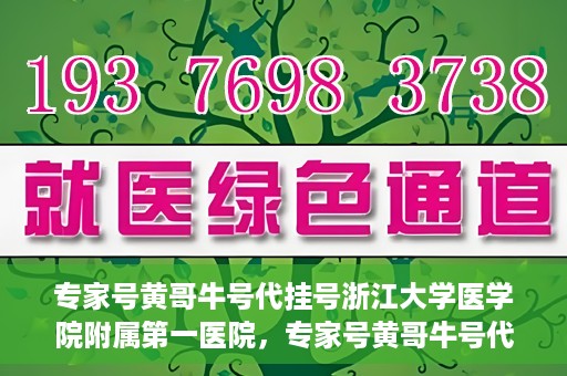 专家号黄哥牛号代挂号浙江大学医学院附属第一医院，专家号黄哥牛号代挂号浙江大学医学院附属第一医院，深度解读与预约攻略