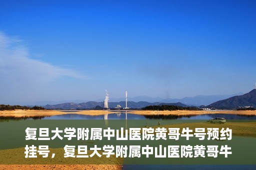 复旦大学附属中山医院黄哥牛号预约挂号，复旦大学附属中山医院黄哥牛号预约挂号攻略解析