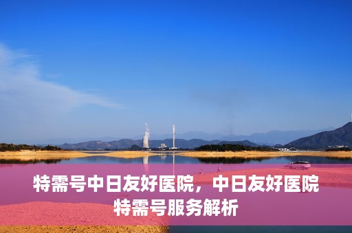 特需号中日友好医院，中日友好医院特需号服务解析