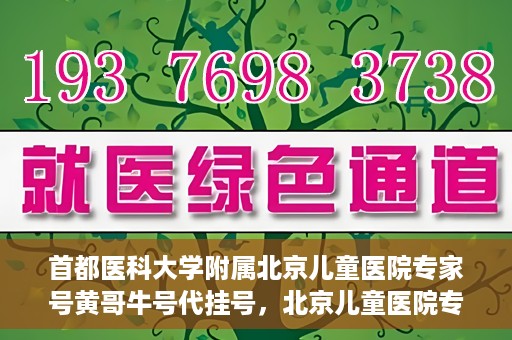 首都医科大学附属北京儿童医院专家号黄哥牛号代挂号，北京儿童医院专家黄哥牛号代挂号解析，专业医疗服务的深度解读