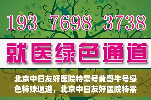 北京中日友好医院特需号黄哥牛号绿色特殊通道，北京中日友好医院特需号黄哥牛号，绿色就医特殊通道揭秘
