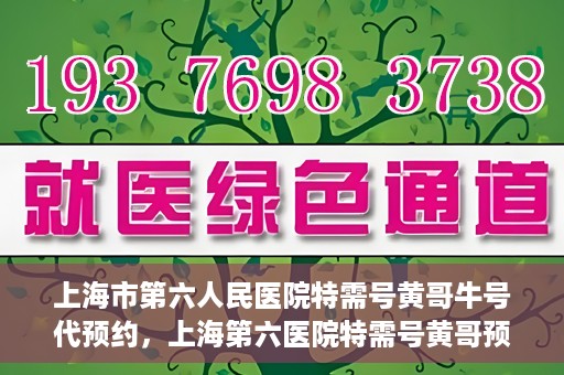 上海市第六人民医院特需号黄哥牛号代预约，上海第六医院特需号黄哥预约服务解析，专业代预约，便捷就医新选择