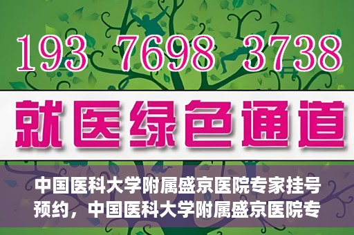 中国医科大学附属盛京医院专家挂号预约，中国医科大学附属盛京医院专家挂号预约攻略，一站式预约服务解析
