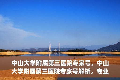中山大学附属第三医院专家号，中山大学附属第三医院专家号解析，专业医疗团队为您的健康保驾护航