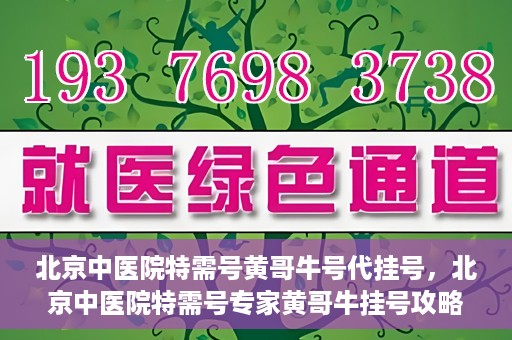 北京中医院特需号黄哥牛号代挂号，北京中医院特需号专家黄哥牛挂号攻略，深度解析代挂号服务