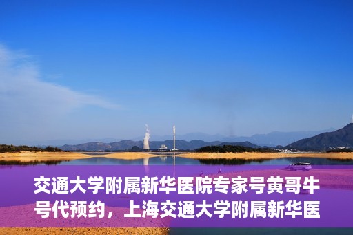 交通大学附属新华医院专家号黄哥牛号代预约，上海交通大学附属新华医院专家号预约服务解析，黄哥牛号预约指南
