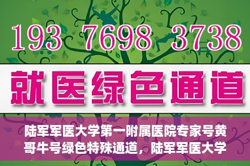 陆军军医大学第一附属医院专家号黄哥牛号绿色特殊通道，陆军军医大学第一附属医院专家号黄哥牛号，绿色特殊通道揭秘