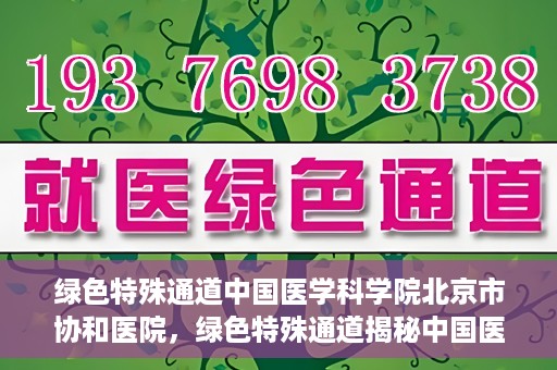 绿色特殊通道中国医学科学院北京市协和医院，绿色特殊通道揭秘中国医学科学院北京市协和医院的力量与担当