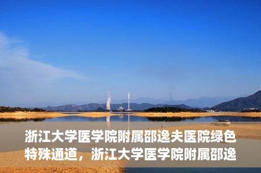 浙江大学医学院附属邵逸夫医院绿色特殊通道，浙江大学医学院附属邵逸夫医院绿色特殊通道，高效医疗服务的创新实践