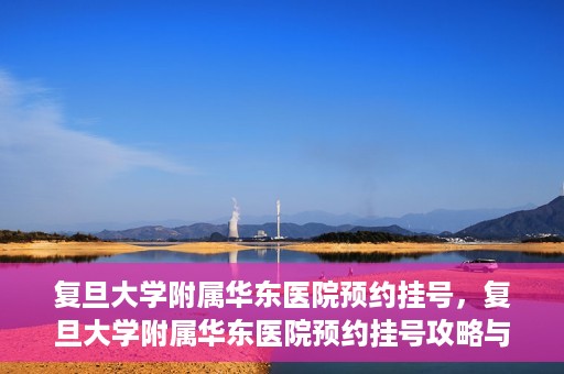 复旦大学附属华东医院预约挂号，复旦大学附属华东医院预约挂号攻略与指南