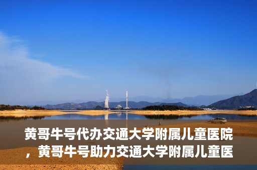 黄哥牛号代办交通大学附属儿童医院，黄哥牛号助力交通大学附属儿童医院代办服务