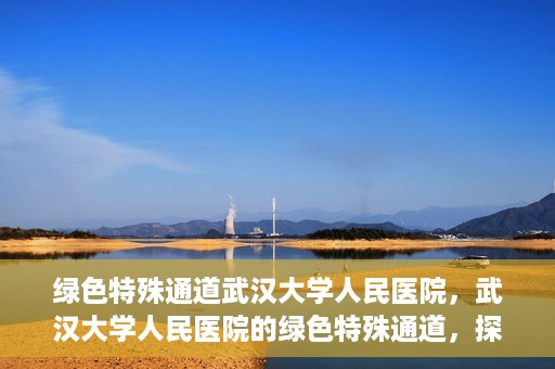 绿色特殊通道武汉大学人民医院，武汉大学人民医院的绿色特殊通道，探索与实践