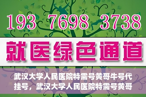 武汉大学人民医院特需号黄哥牛号代挂号，武汉大学人民医院特需号黄哥牛号代挂号背后的故事与真相揭秘