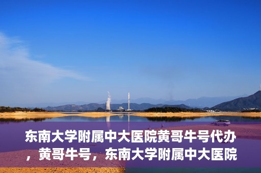 东南大学附属中大医院黄哥牛号代办，黄哥牛号，东南大学附属中大医院的代办之路