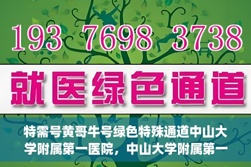 特需号黄哥牛号绿色特殊通道中山大学附属第一医院，中山大学附属第一医院特需号黄哥牛号绿色特殊通道揭秘