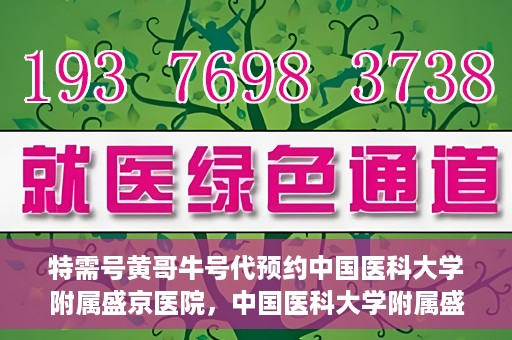特需号黄哥牛号代预约中国医科大学附属盛京医院，中国医科大学附属盛京医院特需号黄哥牛号预约服务解析