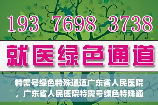 特需号绿色特殊通道广东省人民医院，广东省人民医院特需号绿色特殊通道服务解析