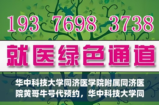 华中科技大学同济医学院附属同济医院黄哥牛号代预约，华中科技大学同济医院黄哥牛号预约服务解析