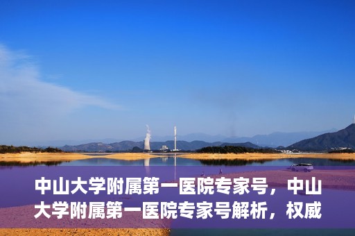 中山大学附属第一医院专家号，中山大学附属第一医院专家号解析，权威医疗团队的专业解读与诊疗之道