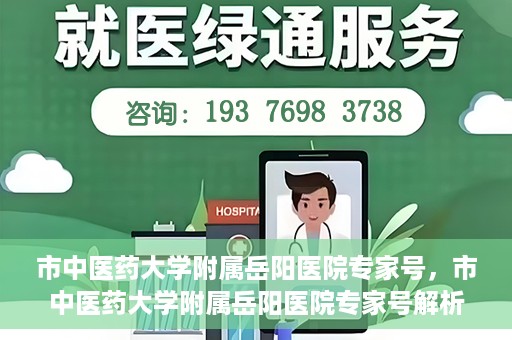 市中医药大学附属岳阳医院专家号，市中医药大学附属岳阳医院专家号解析，权威医疗团队的专业解读与诊疗体验分享