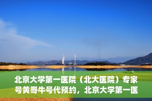北京大学第一医院（北大医院）专家号黄哥牛号代预约，北京大学第一医院专家号预约服务解析，黄哥牛号预约攻略揭秘