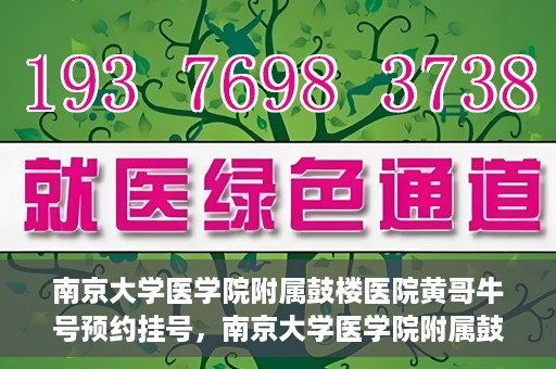 南京大学医学院附属鼓楼医院黄哥牛号预约挂号，南京大学医学院附属鼓楼医院黄哥牛号预约挂号攻略解析