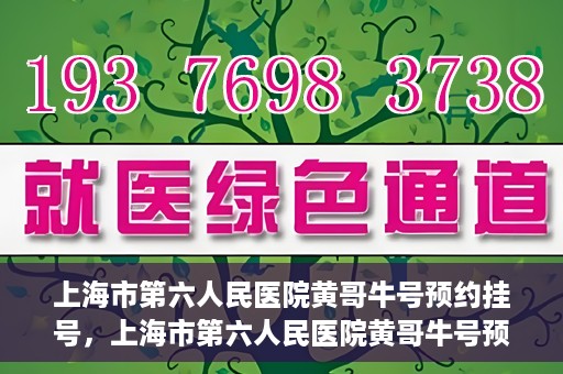 上海市第六人民医院黄哥牛号预约挂号，上海市第六人民医院黄哥牛号预约挂号攻略，轻松挂号，便捷就医体验