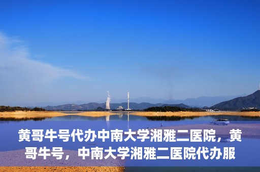 黄哥牛号代办中南大学湘雅二医院，黄哥牛号，中南大学湘雅二医院代办服务详解