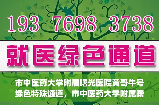 市中医药大学附属曙光医院黄哥牛号绿色特殊通道，市中医药大学附属曙光医院黄哥牛号，绿色特殊通道开启健康之门