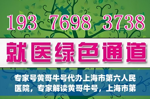 专家号黄哥牛号代办上海市第六人民医院，专家解读黄哥牛号，上海市第六人民医院代办服务深度解析