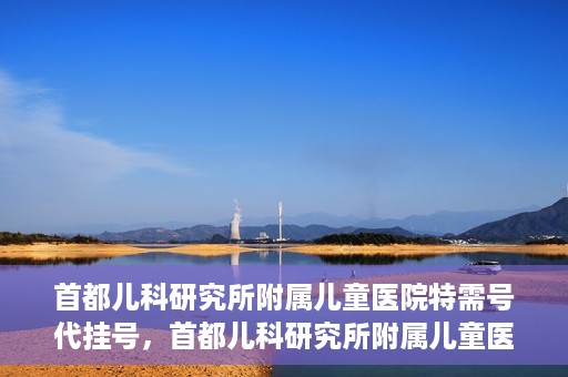 首都儿科研究所附属儿童医院特需号代挂号，首都儿科研究所附属儿童医院特需号源代挂号服务解析