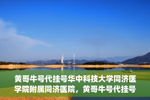 黄哥牛号代挂号华中科技大学同济医学院附属同济医院，黄哥牛号代挂号背后的同济医院就医故事