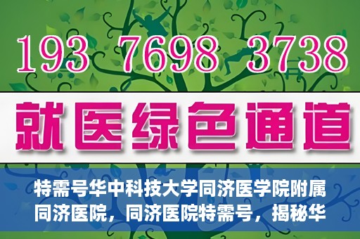 特需号华中科技大学同济医学院附属同济医院，同济医院特需号，揭秘华中科技大学同济医学院附属医院的特色服务与医疗特色