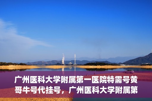 广州医科大学附属第一医院特需号黄哥牛号代挂号，广州医科大学附属第一医院特需号黄哥牛号代挂号攻略