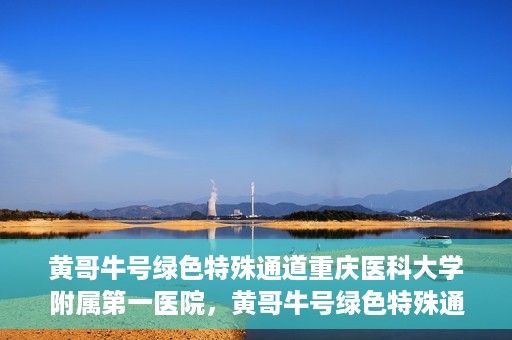 黄哥牛号绿色特殊通道重庆医科大学附属第一医院，黄哥牛号绿色特殊通道，重庆医科大学附属第一医院实践探索