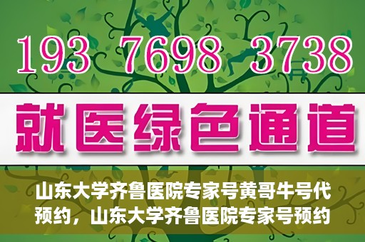 山东大学齐鲁医院专家号黄哥牛号代预约，山东大学齐鲁医院专家号预约服务解析，黄哥牛号代预约详解