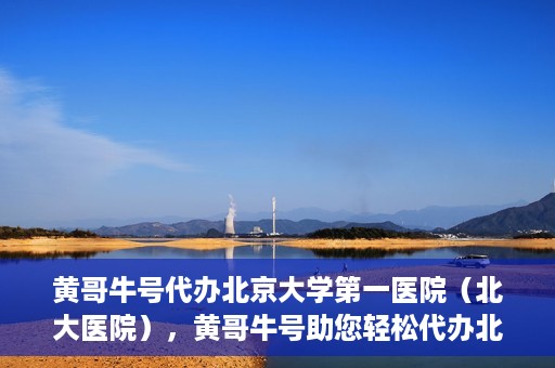 黄哥牛号代办北京大学第一医院（北大医院），黄哥牛号助您轻松代办北大医院事务，一站式服务开启就医新篇章