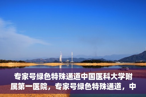 专家号绿色特殊通道中国医科大学附属第一医院，专家号绿色特殊通道，中国医科大学附属第一医院医疗服务的创新实践