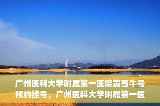广州医科大学附属第一医院黄哥牛号预约挂号，广州医科大学附属第一医院黄哥名医牛号预约挂号攻略