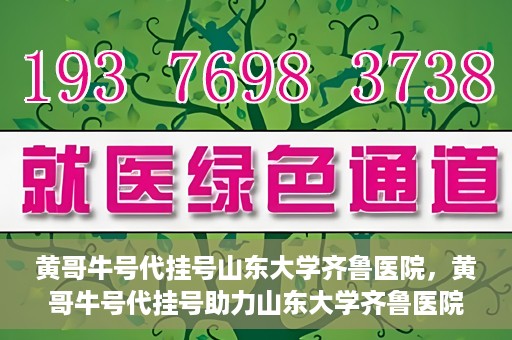 黄哥牛号代挂号山东大学齐鲁医院，黄哥牛号代挂号助力山东大学齐鲁医院就医无忧