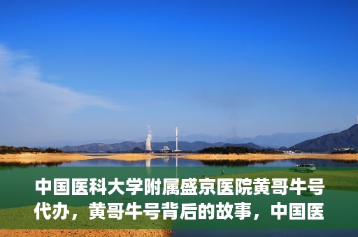 中国医科大学附属盛京医院黄哥牛号代办，黄哥牛号背后的故事，中国医科大学附属盛京医院的信赖之选