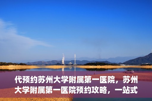 代预约苏州大学附属第一医院，苏州大学附属第一医院预约攻略，一站式解决您的就医难题