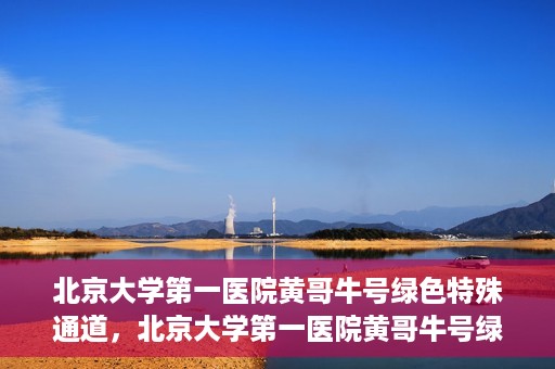 北京大学第一医院黄哥牛号绿色特殊通道，北京大学第一医院黄哥牛号绿色就医特殊通道揭秘