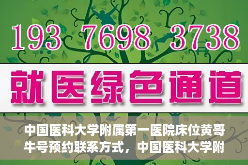 中国医科大学附属第一医院床位黄哥牛号预约联系方式，中国医科大学附属第一医院床位预约联系方式及黄哥牛号预约攻略