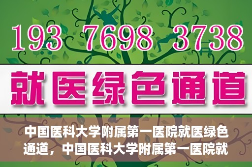 中国医科大学附属第一医院就医绿色通道，中国医科大学附属第一医院就医绿色通道，打造便捷医疗新体验