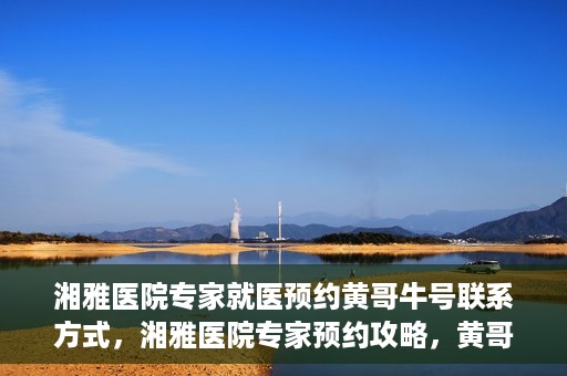 湘雅医院专家就医预约黄哥牛号联系方式，湘雅医院专家预约攻略，黄哥牛号联系方式揭秘