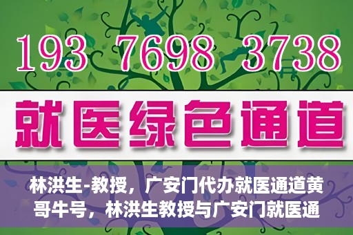 林洪生-教授，广安门代办就医通道黄哥牛号，林洪生教授与广安门就医通道黄哥牛号的探索之路