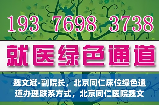 魏文斌-副院长，北京同仁床位绿色通道办理联系方式，北京同仁医院魏文斌副院长，床位绿色通道办理指南与联系方式揭秘